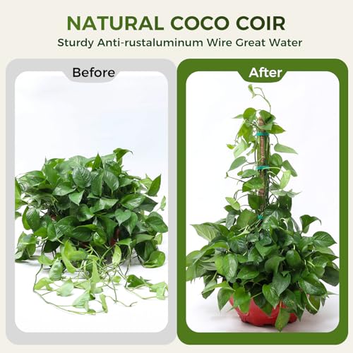 48" Moss Pole Monstera Plant Support, 4 Pack, Bendable Plant Stakes Made of Real Coco Coir Support for Climbing Indoor Plants, Tall Moss Stick Trellis for Potted Climbers - size: 4 Pack (48in)