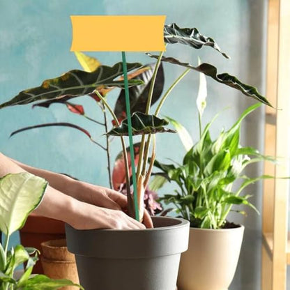 INOOMP 40pcs Plant Support Stakes 45cm Gardening Sticks for Plants Floral Stem Support Poles Sturdy Indoor and Outdoor