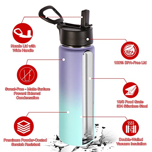 Volhoply Insulated Water Bottles with Straw Bulk 4 Pack, 22 oz Stainless Steel Double Walled Vacuum Travel Water Cups with Wide Mouth, Reusable Cold Water Flask for School Hiking(Purple Blue,4 Set) - color: Purple Blue