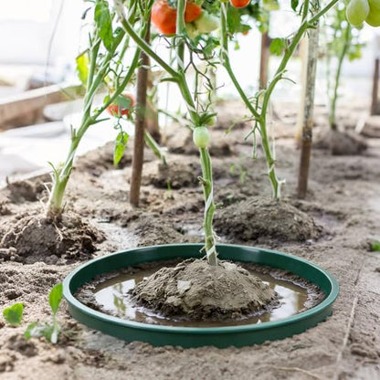 6PCS 12 Inches Plant Rings for Outdoor Plants, Plant Rings, Planting Ring | Planting Grow Rings to Separate Rock and Pest for Deep Watering Veggies Herbs and Flowers