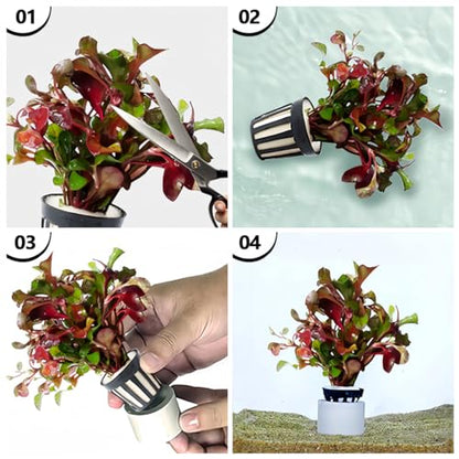 Aquatic Plants Fixed Set 5pcs Aquarium Plant Weights Pot and 5pcs Planting Cup with 5pcs Fixing Cottons Aquarium Accessories (15)
