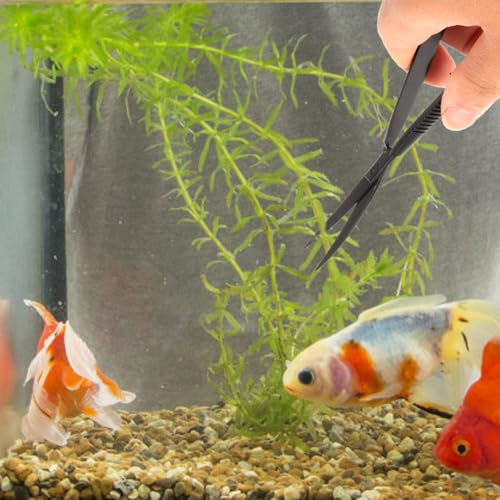 POPETPOP Aquarium Scissors for Plants Water Grass Trimmer Professional Fish Tank Scissor Curved Spring Action Tool for Aquascaping Small Thin Aquatic Plant Trimming 6.10 Inch