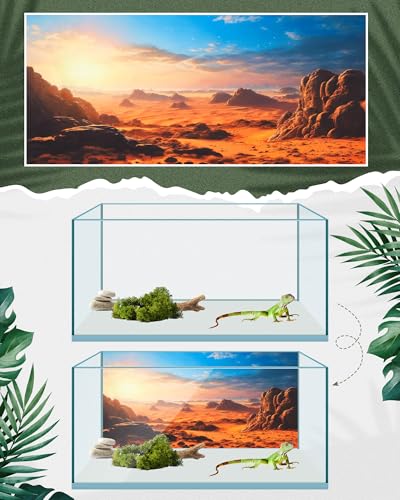 4 Pcs 48 x 24 Inch Reptile Habitat Background with Nano Glue Gobi Sun Cactus Stone and Green Tree Fern Stream Terrarium Background Polyester Durable Aquarium Accessories - color: Style1, size: 24 x 48 Inch