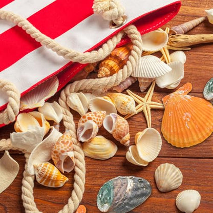 Natural Seashells Conch and 5pcs Natural Starfish, Various Sizes for Beach Themed Party DIY Crafts Fishtank Vase Fillers Home Wedding Decorations (Extra Large, 200g, 2-5cm)