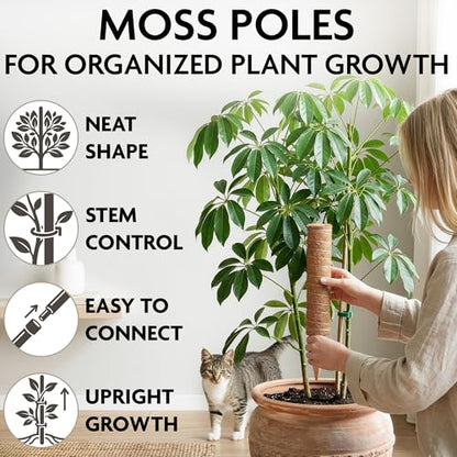 2 Pcs Moss Sticks for Indoor Plants Climbing with Coconut Fiber and Plant Tie Tape - 15.75 Inch Stackable Small Moss Pole for Monstera, Pothos, Philodendron, Money Plants & Indoor Houseplant Vines