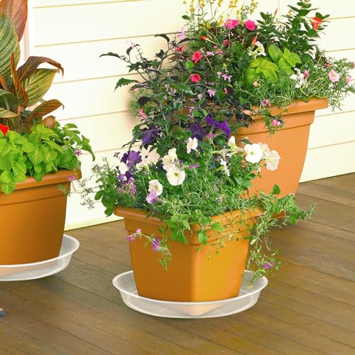 FUIJOL Clear Plant Saucer 12 14 16 18 20 Inch, Durable Plant Drip Trays Saucers for Pots, No Holes Water Catcher Trays for Indoor Outdoor Planter, Sturdy Base Plate(14", Clear) - size: 14"-6Pack