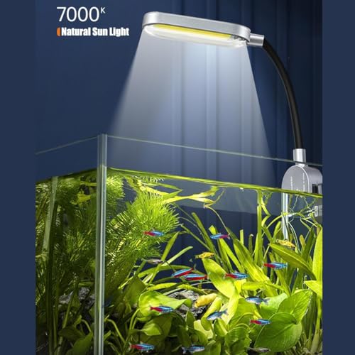 2.5 Gallon Fish Tank Starter Kits, with Led Light, Filter Pump, Cover, Small Fish Tank Betta Aquarium (30x18x20CM) - size: 2.5 Gallon