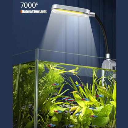 2.5 Gallon Fish Tank Starter Kits, with Led Light, Filter Pump, Cover, Small Fish Tank Betta Aquarium (30x18x20CM) - size: 2.5 Gallon