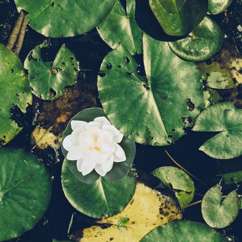 Luxshiny 10pcs Realistic Eva Floating Lotus Flowers Pool Decorations Artificial Water Lilies for Garden Pond Wedding Aquarium Display