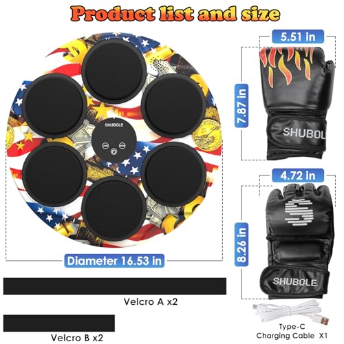 Music Boxing Machine with Gloves - Wall Mounted Punching Trainer for Adults & Kids, 9-Speed Punch Game, Wall Boxing Punching pad, 2025 Upgrade Gifts for Boys Age 6+ - style: US