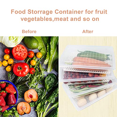 4PCS Food Storage Container, Plastic Food Containers Large | [With Removable Drain Plate and Lid], [Stackable Portable Freezer Storage Containers]-Tray to Keep Fruits, Vegetables, Meat - size: Large(4PCS)