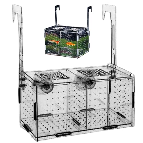 8x4x4 Transparent Insulation Fish Breeding Box Detachable Acrylic Small Fish Tank with Suction Cups for Shrimp Clown and Guppy Breeder Box