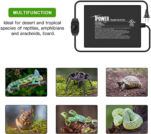 iPower 6 by 8-Inch 8 Watts Reptile Heating Mat with Temperature Controller Under Tank Warmer Terrarium Heat Pad for Reptiles and Amphibians, Black - size: 6" x 8", style: Heat Pad with Adjust Knob