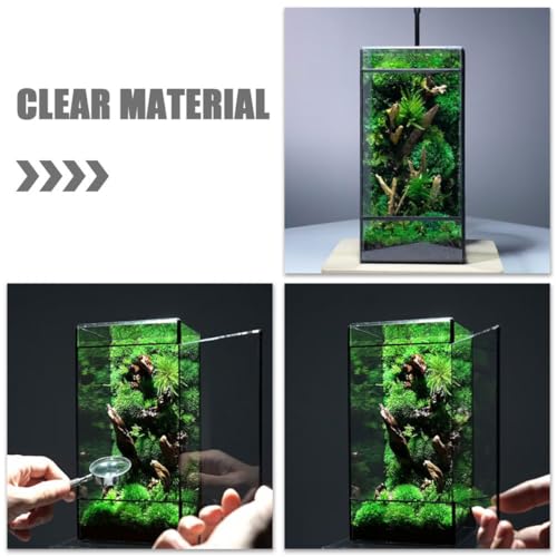 Glass Terrarium Moss Holder for Indoor Micro Landscape DIY, Small Geometric Handcrafted Glass Container with Black Tin Frame, Mini Ecological Plant Planter for Living Room Decor