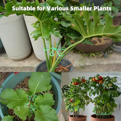 Plant Stem Supports for Indoor Plants, Reusable Monstera Plant Support, Plant Propagation Buddy, Sturdy Houseplant Accessories, Stable Leaf Buddy Plant Support Stakes, 6PCS Green