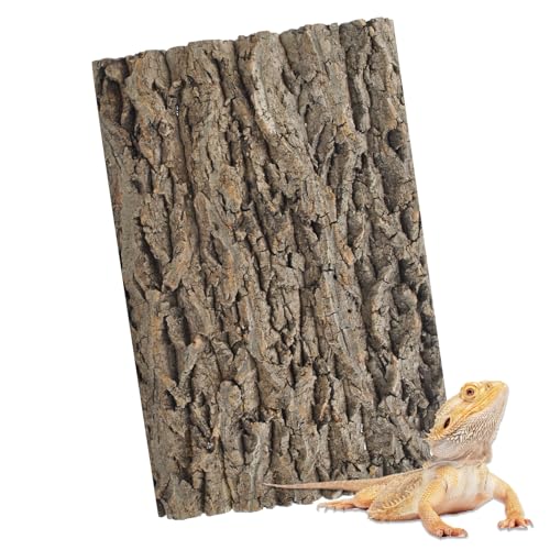 PINVNBY Natural Cork Bark Terrarium Background,15.74x11.81 Inches Reptile Tank Backdrop 3D Bearded Dragon Tank Climbing Wall Habitat Decor for Gecko Lizard Tortoise Frog Chameleon(1 PCS) - size: 【1 PCS】