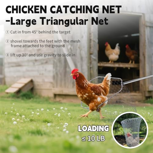 Chicken Net Catcher 3 in 1 Kit with 2 Foldable Nets & Leg Hook Replaceable | Adjustable from 32" to 76" with Thickened Pole丨Humanely Captures for Chicken,Fish,Poultry,Cats,Birds and Animals