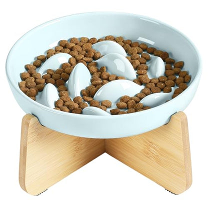 PETTOM Slow Feeder Cat Bowl with Stand, Ceramic Slow Eating Cat Bowl with Higher Edges Fish Pool Design Elevated Food Bowls for Dry and Wet Food Anti-Vomiting Puzzle Feeder for Healthy Eating Diet - color: Green
