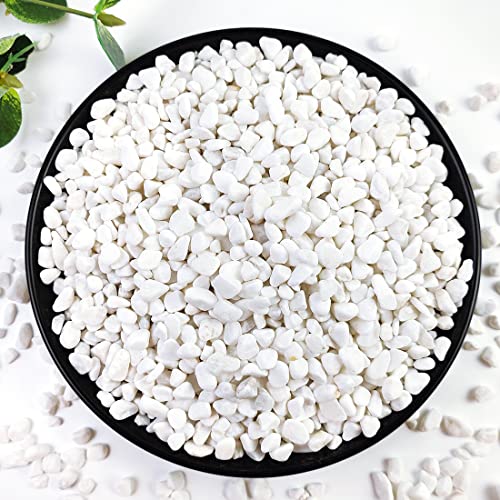 2LB Succulent and Cactus Gravel Pebbles, 1/5 Inch White Stones | Natural Decorative Polished River Rocks for Vases Gardening Indoor and Outdoor Decorative Rocks - color: White, size: 2 Pounds