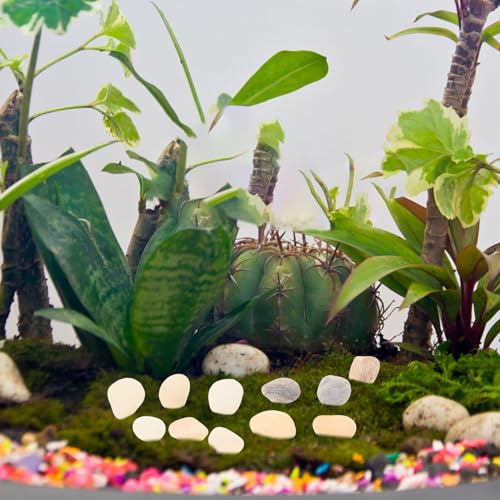 Aquarium Fish Tank Gravel Decors 8-10mm Natural Rain Flower Stone Landscape Pebbles for Aquarium Substrate and Flowerpot Decoration