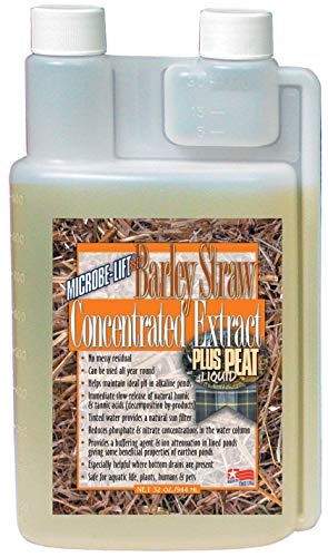 Microbe-Lift Concentrated Barley Straw Extract Plus Liquid Peat Conditioner for Ponds and Outdoor Water Garden, Safe for Live Koi Fish, Plants, and Decorations, 32 Ounces - size: 32 Ounces