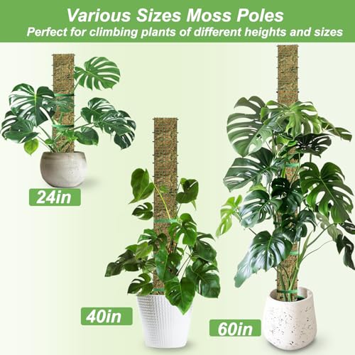 60"/40"/24" Metal Moss Pole, 6 Pack D Shape Sphagnum Moss Pole, Moss Poles for Climbing Plants, Monstera, Indoor Climbing Plants (2 Each of 60" 40" 24") - style: 2 Each of 60" 40" 24"
