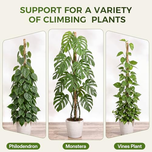 48" Moss Pole Monstera Plant Support, 4 Pack, Bendable Plant Stakes Made of Real Coco Coir Support for Climbing Indoor Plants, Tall Moss Stick Trellis for Potted Climbers - size: 4 Pack (48in)