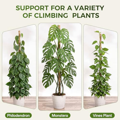 48" Moss Pole Monstera Plant Support, 4 Pack, Bendable Plant Stakes Made of Real Coco Coir Support for Climbing Indoor Plants, Tall Moss Stick Trellis for Potted Climbers - size: 4 Pack (48in)