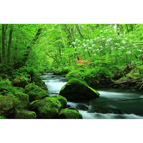Stream Aquarium Background Jungle Plants Rainforest Fish Tank Background Lush Green Trees Rocks with Moss Terrarium Background Flowing Water Natural Landscape Aquarium Backdrops Vinyl 24x12in - color: Moss Green, size: 24(W)x12(H)in