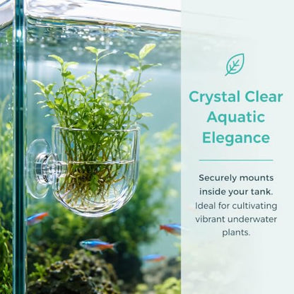 2Pcs Aquarium Plant Pot Set, Glass Fish Tank Plants Holder Aquarium Planter, Decoration Plants Cup with Suction Cups