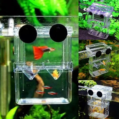 Generic Aquarium Fish Breeding Box, Acrylic Guppy Breeding Tank Hatchery Incubator, Transparent Isolation Box, 10*8*7cm/3.93*3.15*2.75inch - color: L