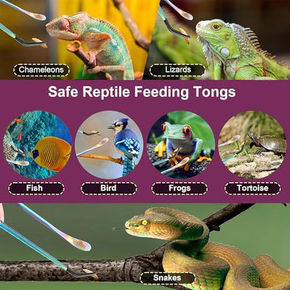Stainless Steel Reptile Feeding Tongs & Spoon Set - 10.6" Straight & Curved Tweezers for Aquariums & Crafts - Feeder Tools with Rubber Tip for Bearded Dragons,Snake, Lizards - 3 Pack