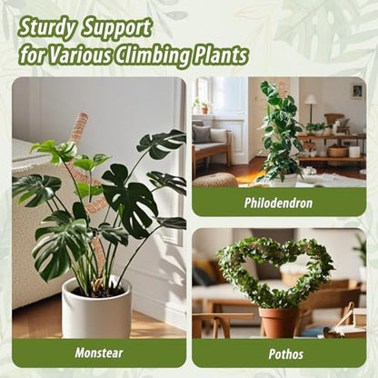 3 Pack Moss Pole, 48 Inch Monstera Plant Support, Moss Poles for Climbing Indoor Plants, Bendable Coco Coir Plant Support Stakes for Potted Plants, Pothos, Philodendron - size: 48 Inch - 3 Packs