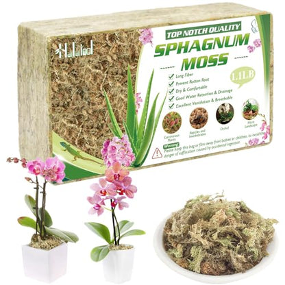 Halatool 1.1 LB Sphagnum Moss for Plants, 25 QT Long Fiber Orchid Moss | Drainage & Moisture Retention, Natural Moss for Ferns, Succulents, Carnivorous, Orchid Repotting, Terrariums, Reptile Bedding - size: 25 qt (1.1 lbs)