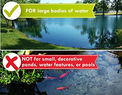 Pond Worx Blue Lake and Pond Dye - 4X Concentrated Liquid Pond Colorant - Treats up to 1 Acre - 1 Quart