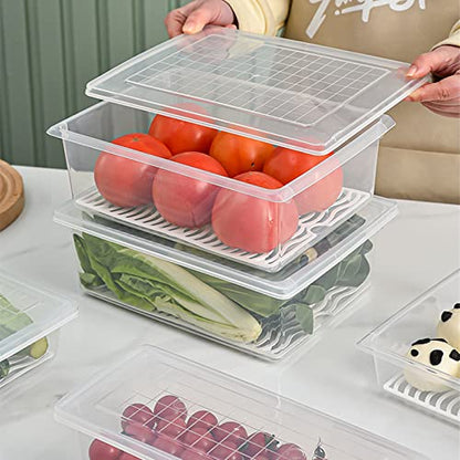 4PCS Food Storage Container, Plastic Food Containers X-Large | [With Removable Drain Plate and Lid], [Stackable Portable Freezer Storage Containers]-Tray to Keep Fruits, Vegetables, Meat - size: X-Large(4PCS)