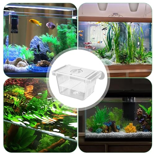 1/2 Fish Acclimation Box - Acrylic Hatchery Incubator Tank, Fish Breeder Box with 2 Suction Cups | Easily Install Breeding Isolation Box, Floating Breeding Box for Baby Fishes Shrimp Betta Guppy - size: Small