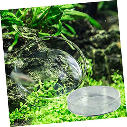 BESPORTBLE Shrimp Food Round Dishes Glass Feeder Bowl Fish Tank Feeder Multi-Purpose Ornamental Supplies