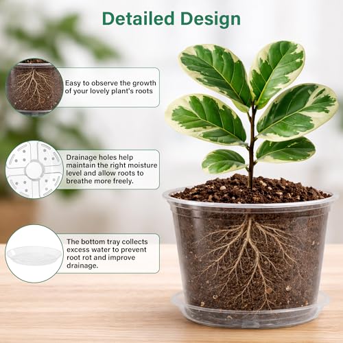 Bluepro Clear Nursery Pots with Saucers, 8 Inch, 8-Pack | Clear PET, Drainage Holes, Root and Moisture Visibility, Flexible, Reusable, Indoor/Outdoor Use, Propagation and Repotting - size: 8 Inch-8Pcs