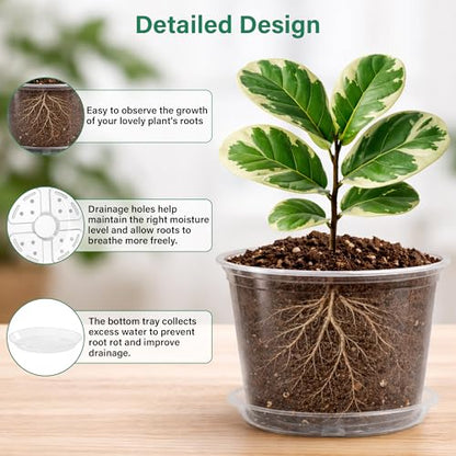 Bluepro Clear Nursery Pots with Saucers, 8 Inch, 8-Pack | Clear PET, Drainage Holes, Root and Moisture Visibility, Flexible, Reusable, Indoor/Outdoor Use, Propagation and Repotting - size: 8 Inch-8Pcs