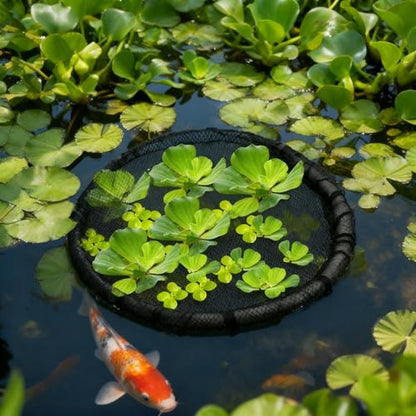 2 Pieces Floating Plant Fish Barrier Pond Plant Protector | Round pond plant protector protects your floating plants from pond fish