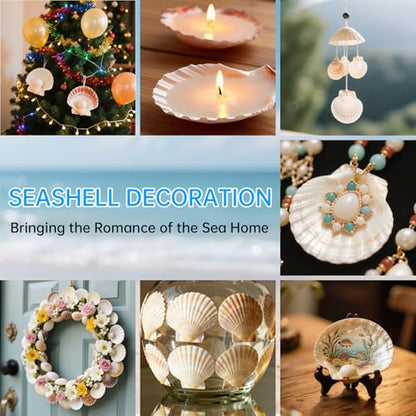 10PCS Natural Scallop Shells for Crafts, 4-5 in White Sea Shells, DIY Decor | Smooth, cleaned surfaces suit painting, resin art, candle making, baking displays, weddings, classrooms and ocean parties. - size: 10PCS (4-5in)