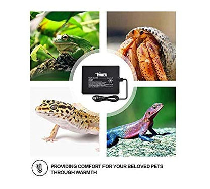 iPower Reptile Heat Pad 8W Under Tank Terrarium Warmer Heating Mat for Turtles Lizards Frogs and Other Small Animals, 6"x8" Inch - size: 6" x 8", style: Heat Pad