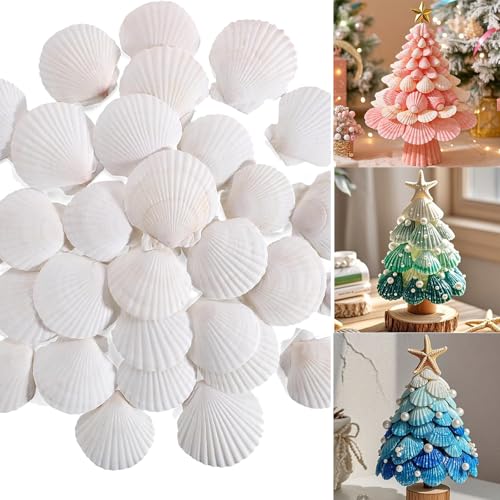 50 PCS Natural Sea Shells 1.6" to 2" White Scallop Shells for DIY Painting Crafts, Wedding Decor, Beach Theme Party, Aquarium Fish Tank and Vase Filler