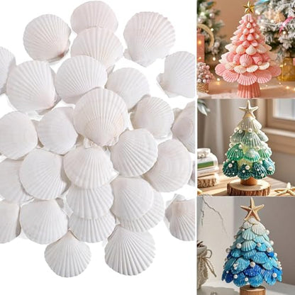 50 PCS Natural Sea Shells 1.6" to 2" White Scallop Shells for DIY Painting Crafts, Wedding Decor, Beach Theme Party, Aquarium Fish Tank and Vase Filler