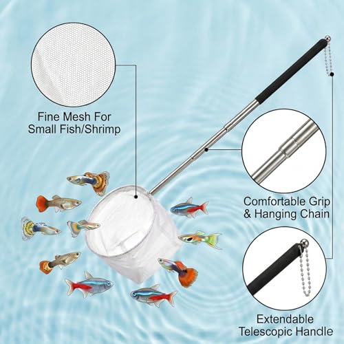 2Pcs Aquarium Shrimp Net, 3.3In Stainless Steel Fish Nets for Aquarium Small Fish Tank Shrimp Net Debris Cleaning Tool with Extendable Handle for Shrimps Baby Fishes Food Residue Skimming