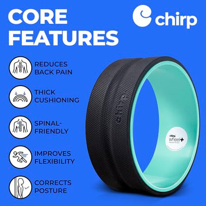 Chirp Wheel+ Foam Roller, Back & Neck Pain Relief, Mint 12-Inch - size: 12" - Gentle