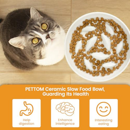 PETTOM Slow Feeder Cat Bowl with Stand, Ceramic Slow Eating Cat Bowl with Higher Edges Fish Pool Design Elevated Food Bowls for Dry and Wet Food Anti-Vomiting Puzzle Feeder for Healthy Eating Diet - color: White
