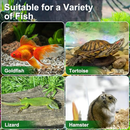 NOLITOY 4Pcs Mini Portable Fish Tank Turtle Box: Small Frog Habitat, Bug Cage Critter Keeper - Clear Reptile Enclosure Cricket Container Tarantula Breeding Box Travel Carrier for Beta Snails