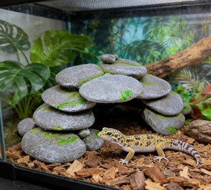 M2cbridge Reptile Hide Resting Step Ledge Cave Hideout Turtle Basking Platform – Great for Reptiles, Amphibians, and Fish (Pebble Arch Cave) - style: Pebble Arch Cave